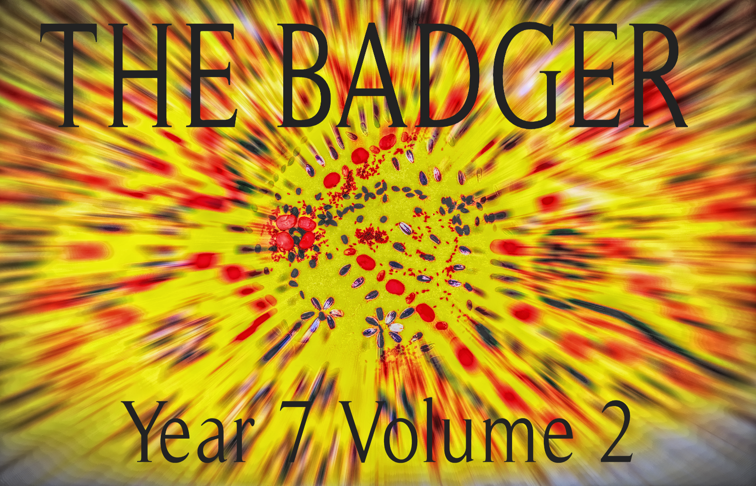cover or poster 2.png
