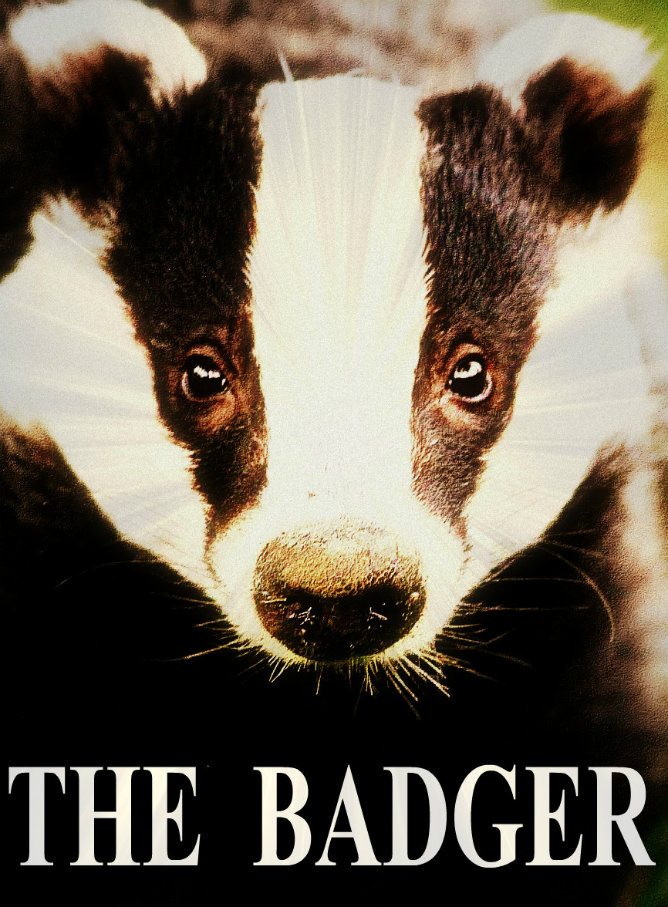 BADGER 2 EDITED smaller.jpg