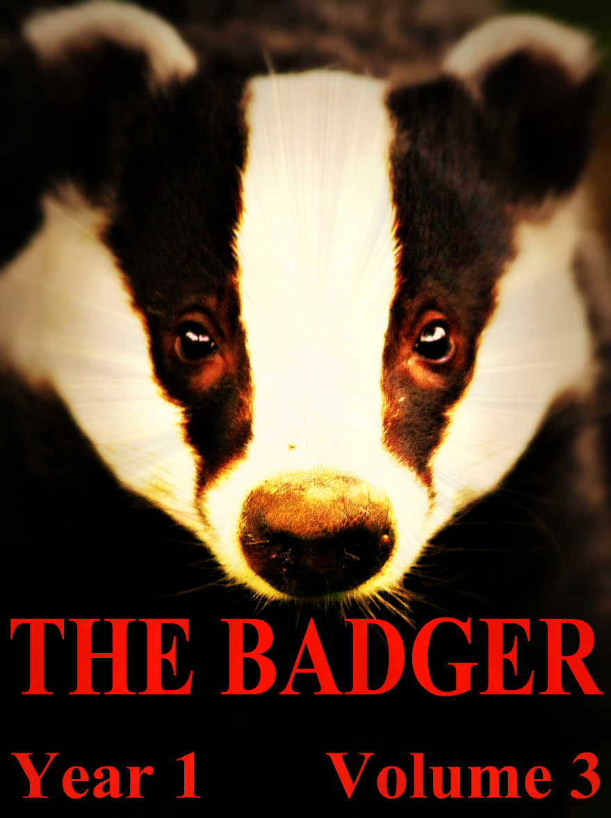 BADGER June 2015 ed cover.jpg